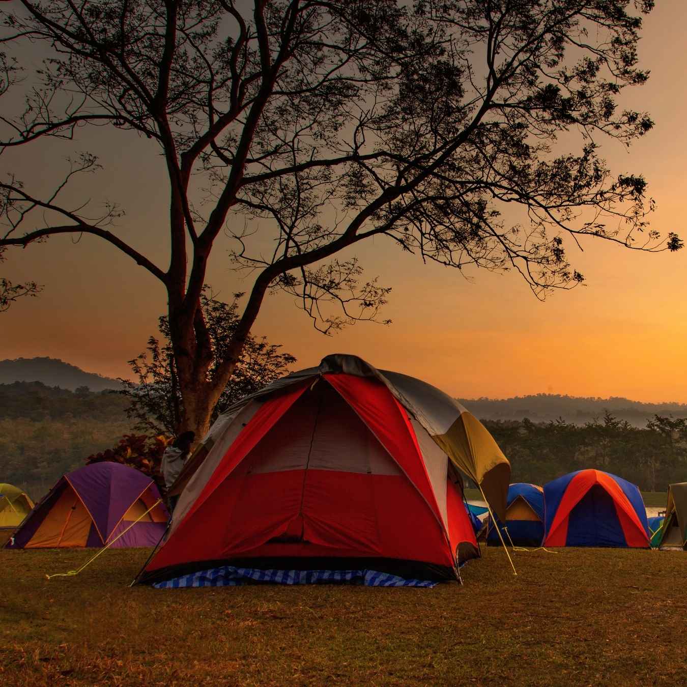 campamento-kikipunga